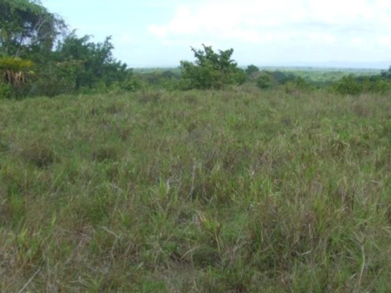 61 Acres of Development Land for Sale in Quepos, Puntarenas, Costa Rica — photo 3