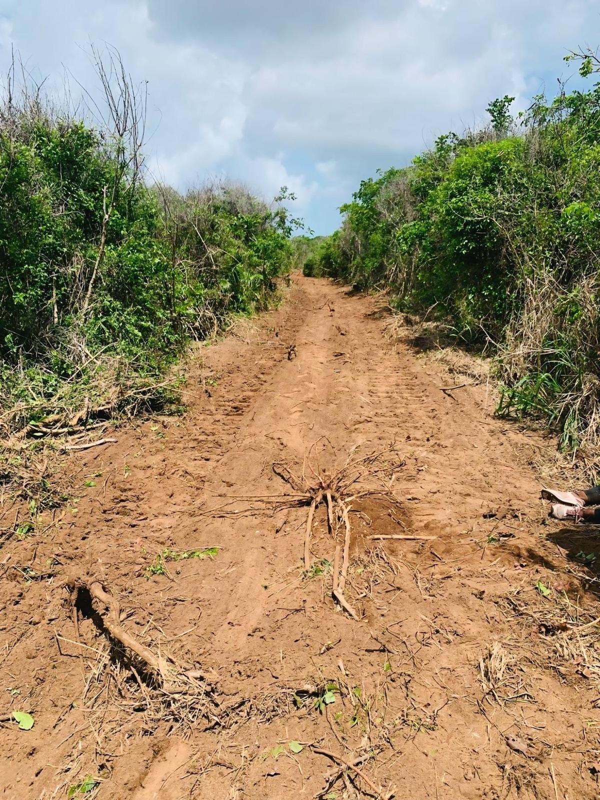 LOT B – QUEEN’S HIGHWAY — photo 1