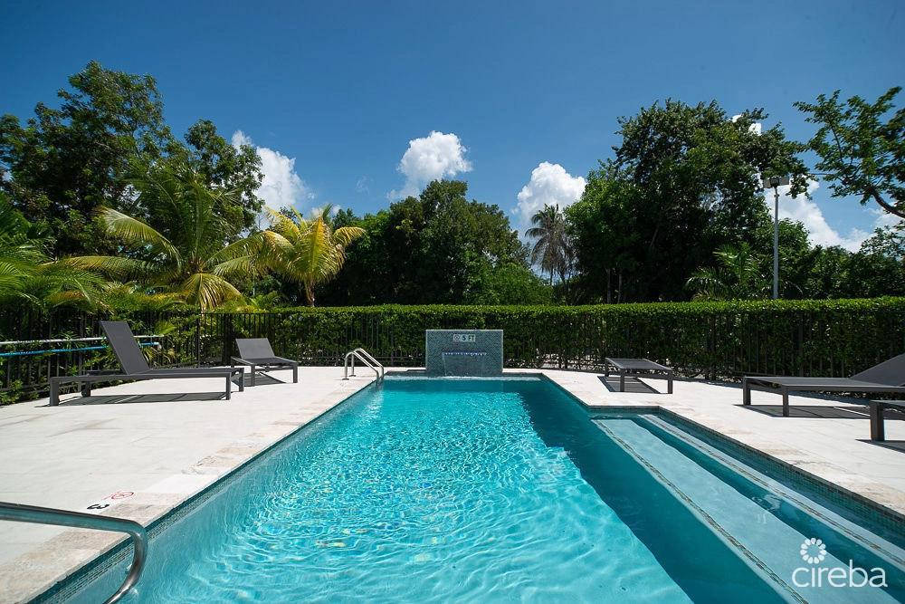 2 Bed 2 Bath Condo 61 West — photo 4