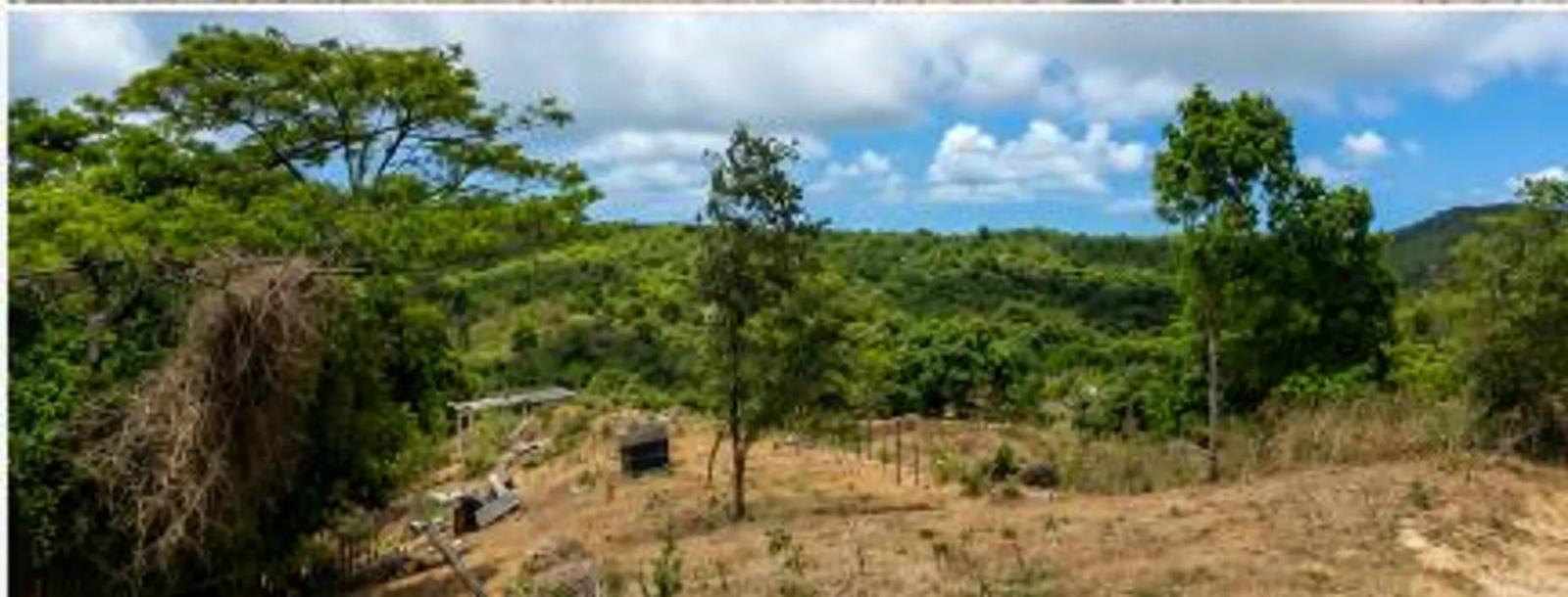 0.46 Acre Homesite Lot in Christiansted — photo 3