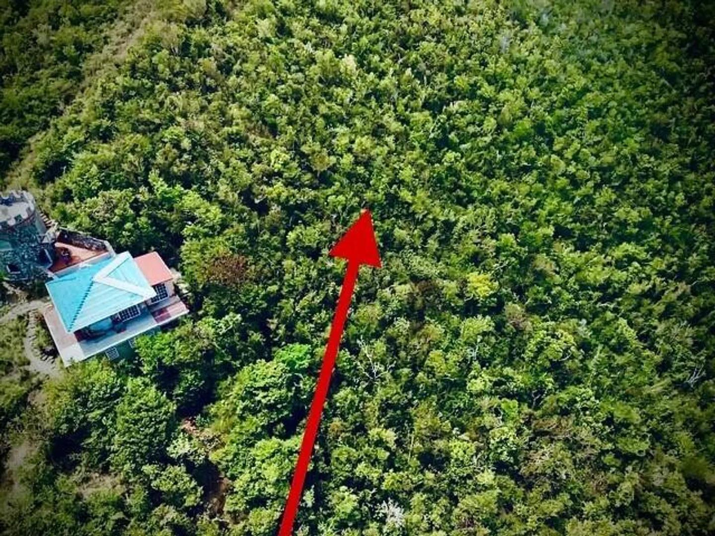 0.4 Acre Lot in Calabash Boom, St. John — photo 2