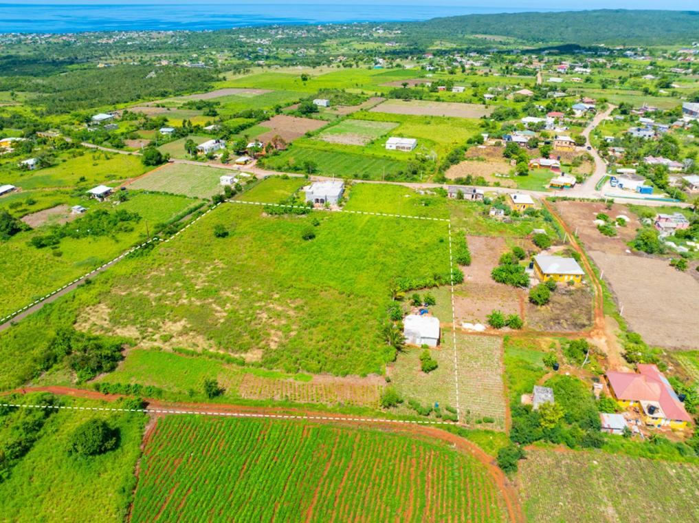 Pedro Plains 2.7 Acre Opportunity — photo 4