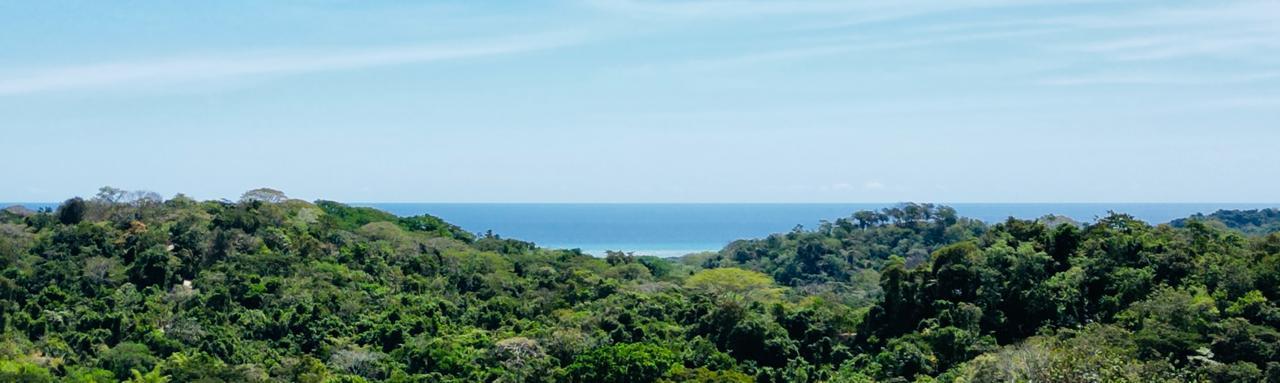 8,722 Sq M Lot for Sale, Cabuya, Santa Teresa, Puntarenas, Costa Rica — photo 2