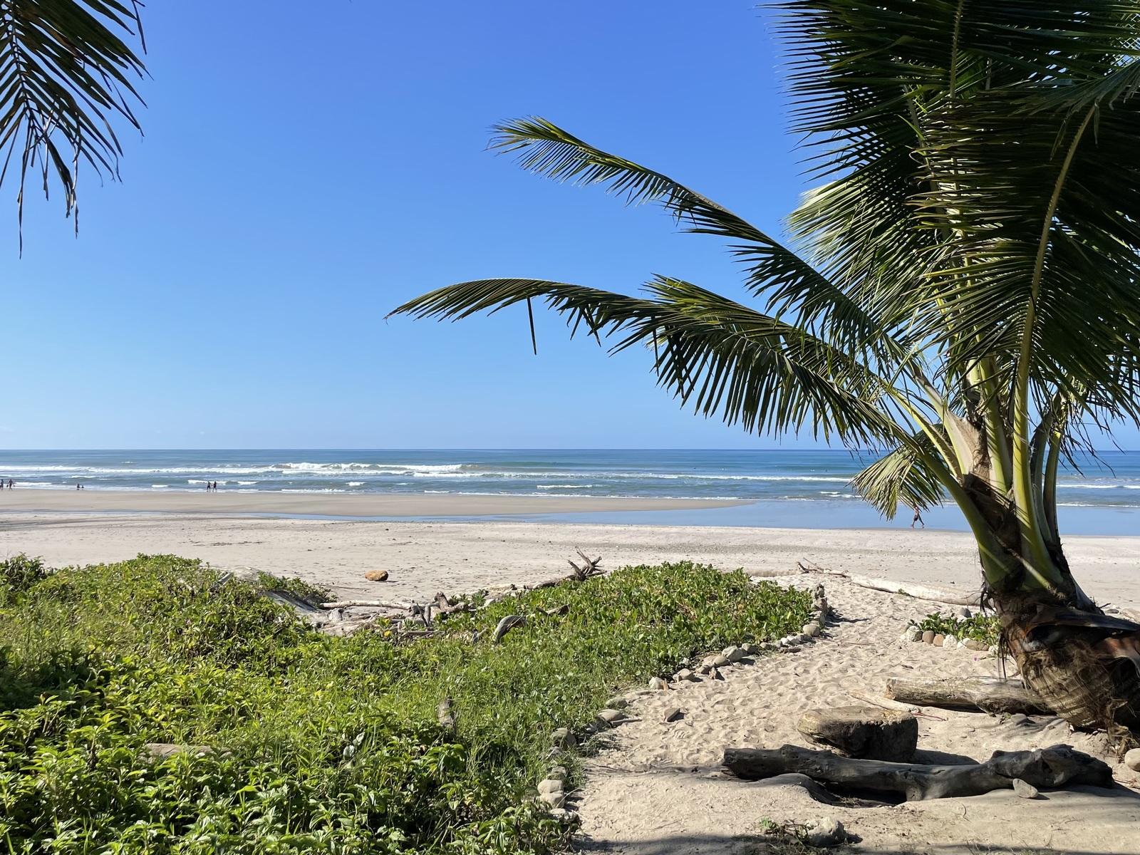 7 Bedroom Beachfront Guesthouse for Sale, Santa Teresa — photo 2