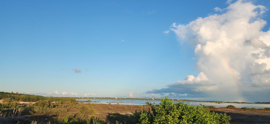 Off Tessier Lane 0.35 Acre Lot — photo 2