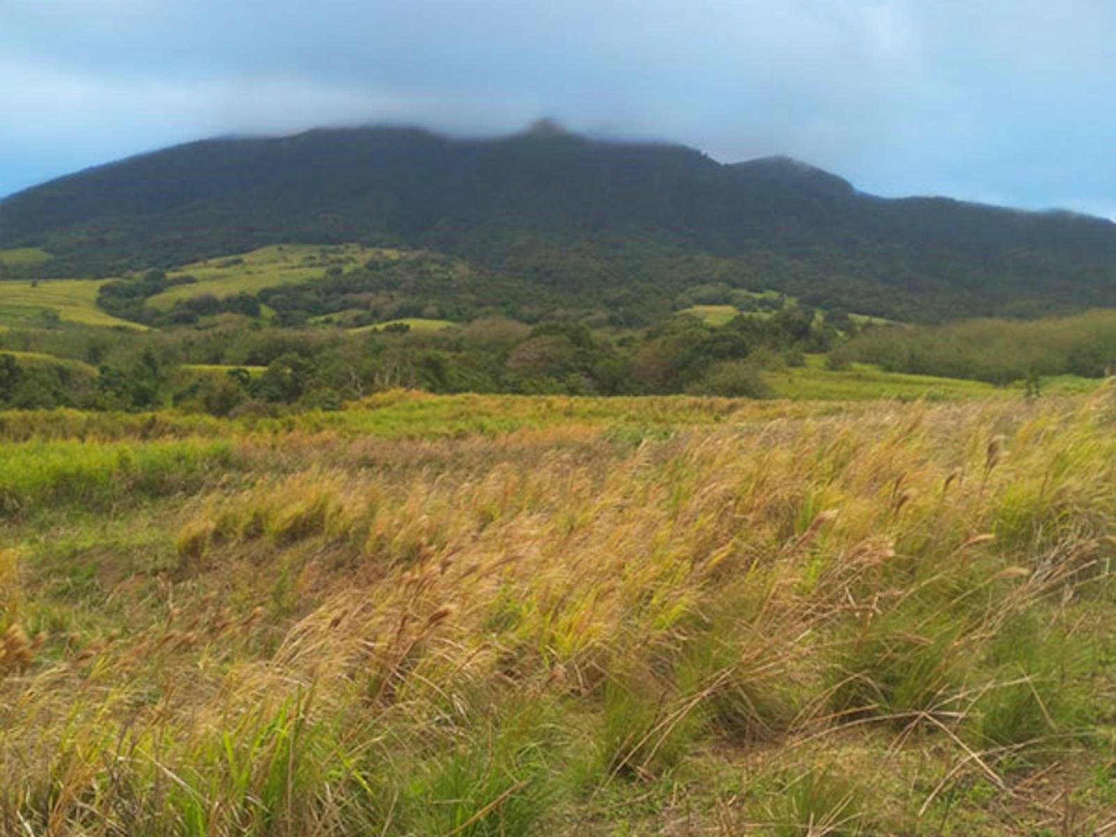 1-acre lots in Mill Side, Paradise Estates, Nevis — photo 2