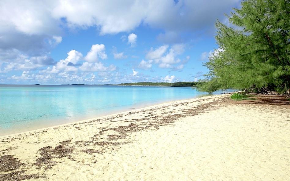Tipsy Palm Villa, Ten Bay - Eleuthera, The Bahamas — photo 3