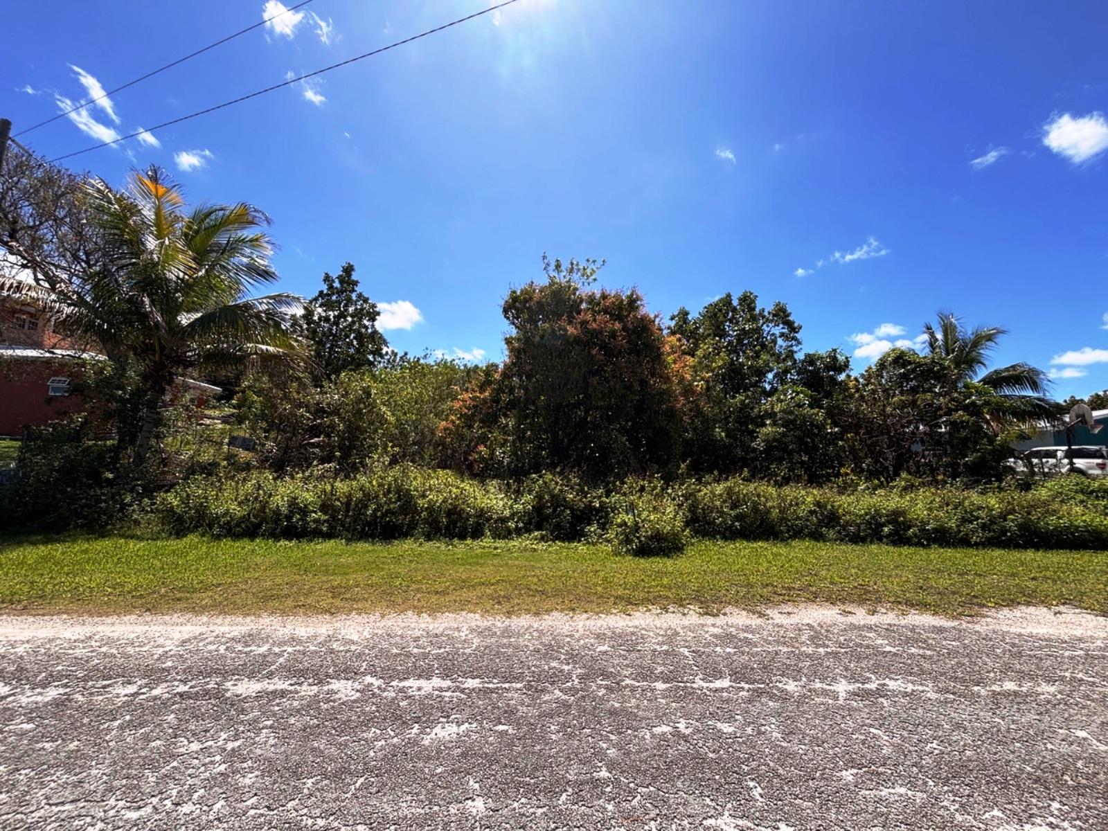Vacant Land for Sale - Greening Glade, Bahamas — photo 2