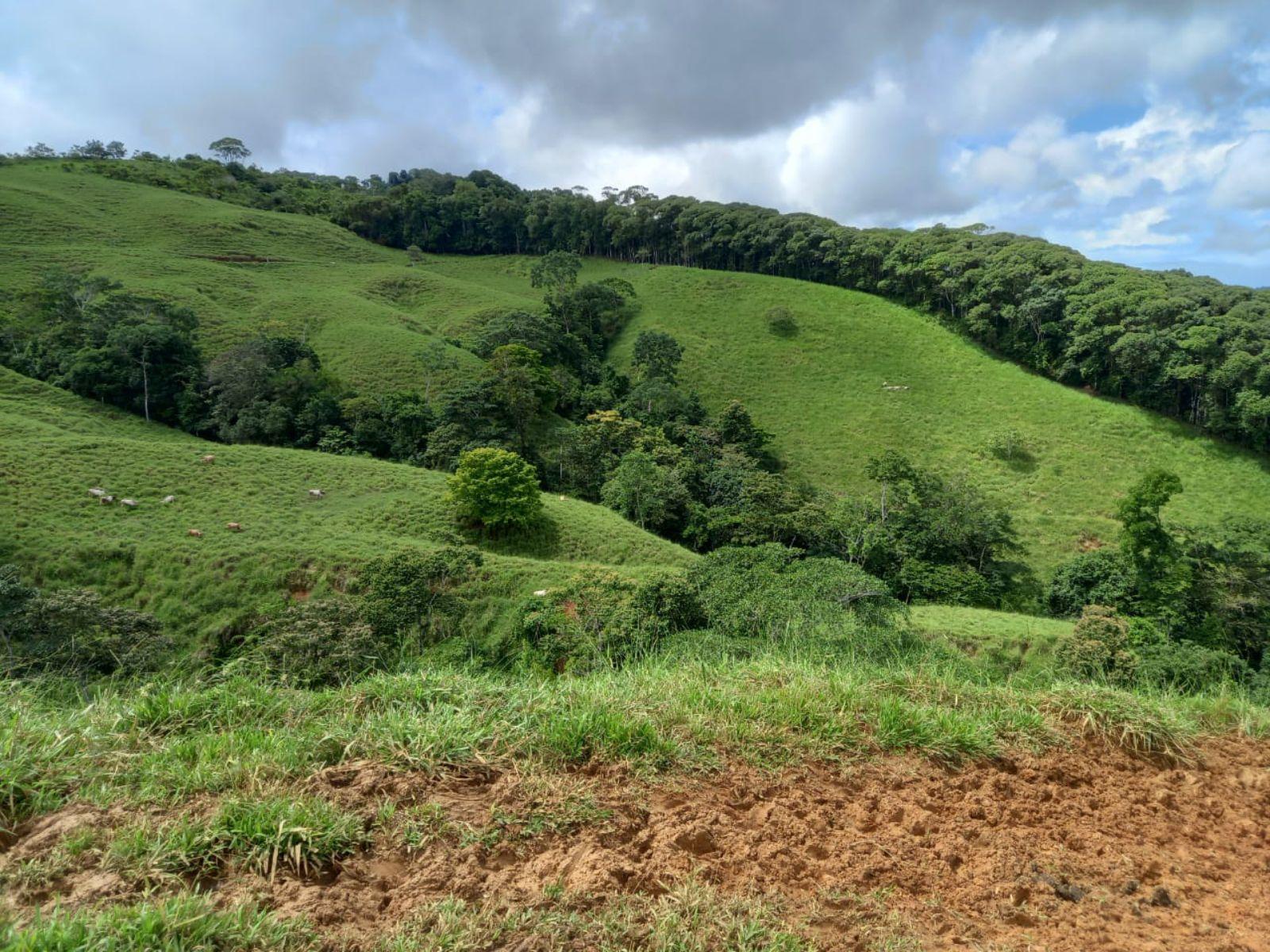 46 Hectares of Land for Sale in Platanillo, Dominical, Costa Rica — photo 3