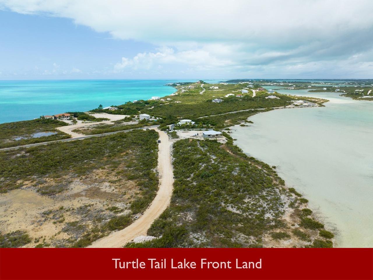 Turtle Tail Lake Front Land — photo 3