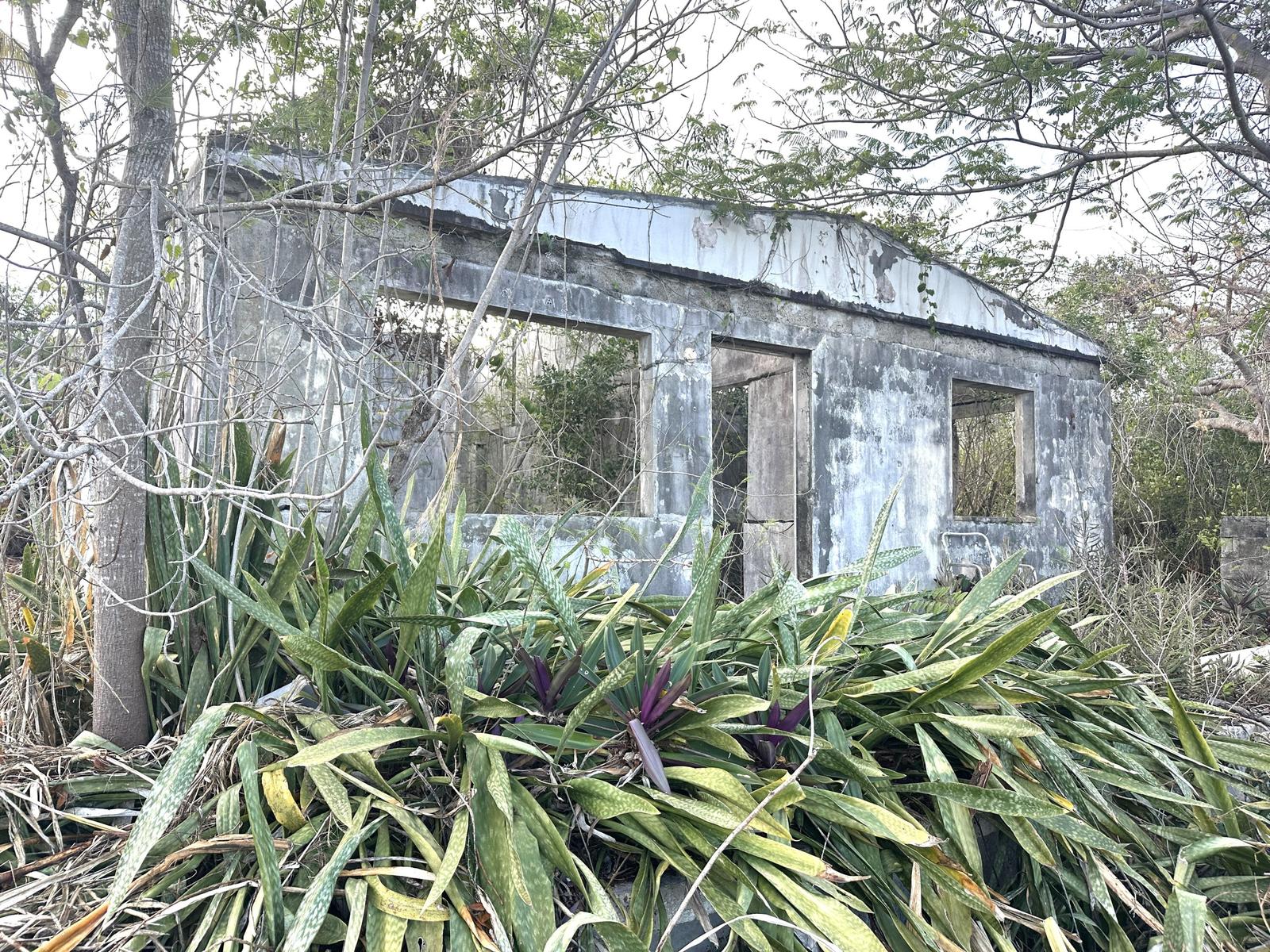 New Lot in Montpellier, St. Croix — photo 4