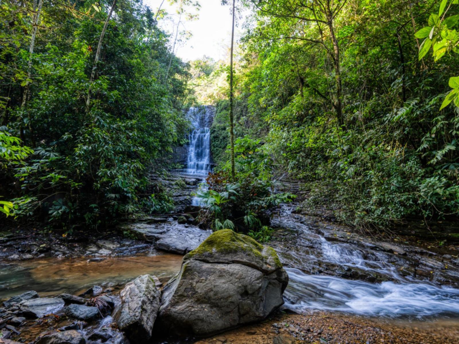 632.6 Acres of Land for Sale, Quepos, Puntarenas, Costa Rica — photo 1
