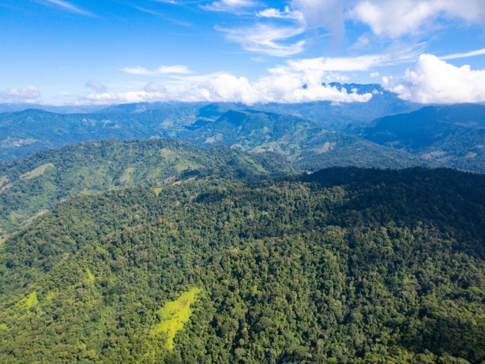 632.6 Acres of Land for Sale, Quepos, Puntarenas, Costa Rica — photo 4