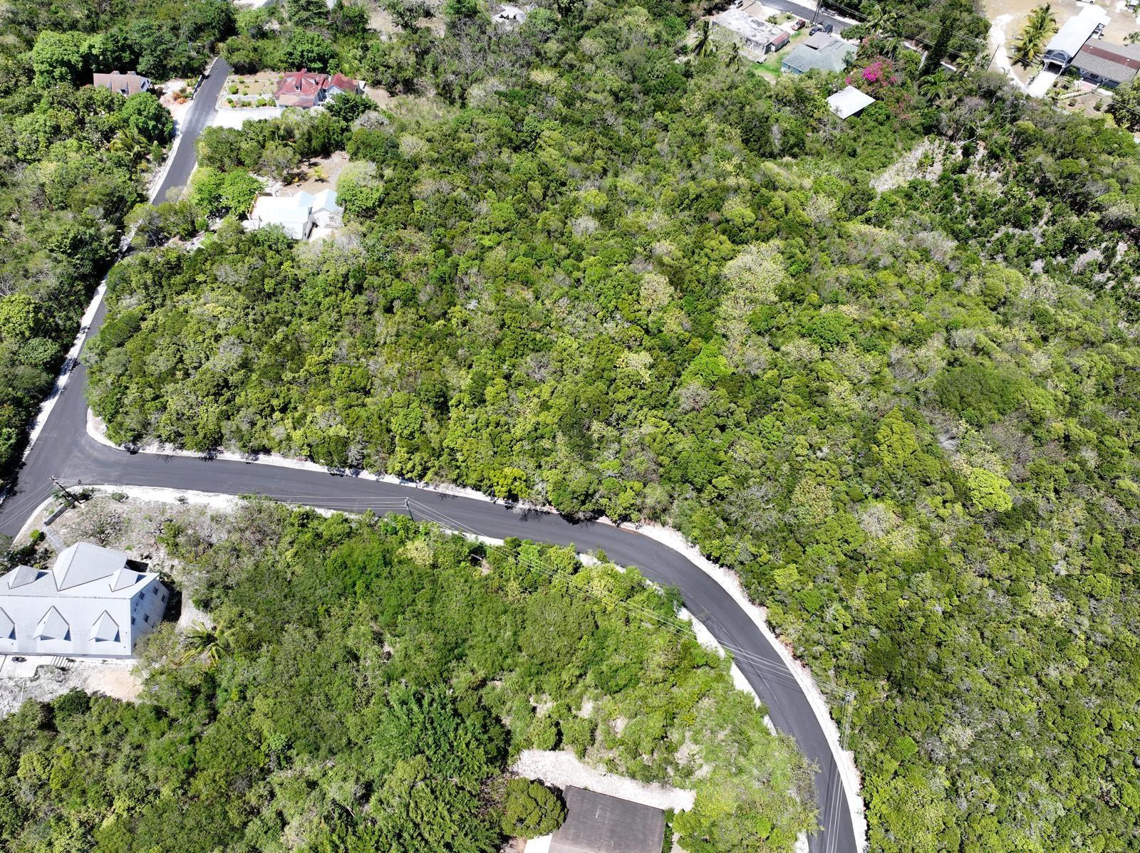 SOUTH PALMETTO POINT — photo 3