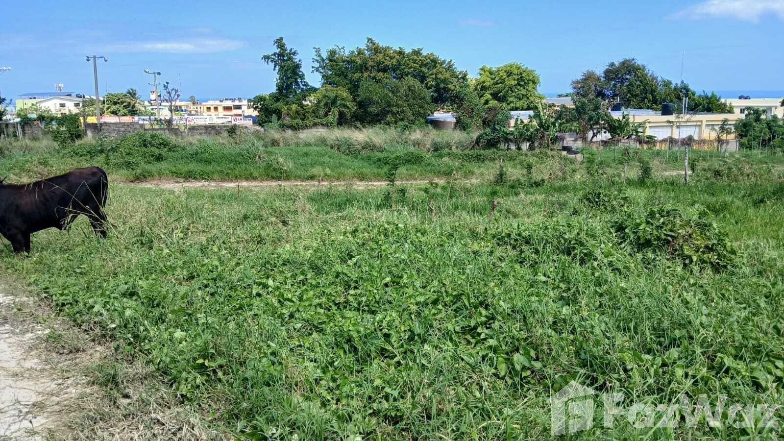 Land for sale in Puerto Plata project, San Felipe De Puerto Plata, Dominican Republic — photo 4