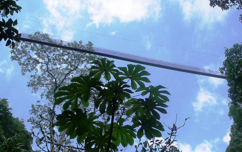 607 Hectare Rainforest Estate — photo 3