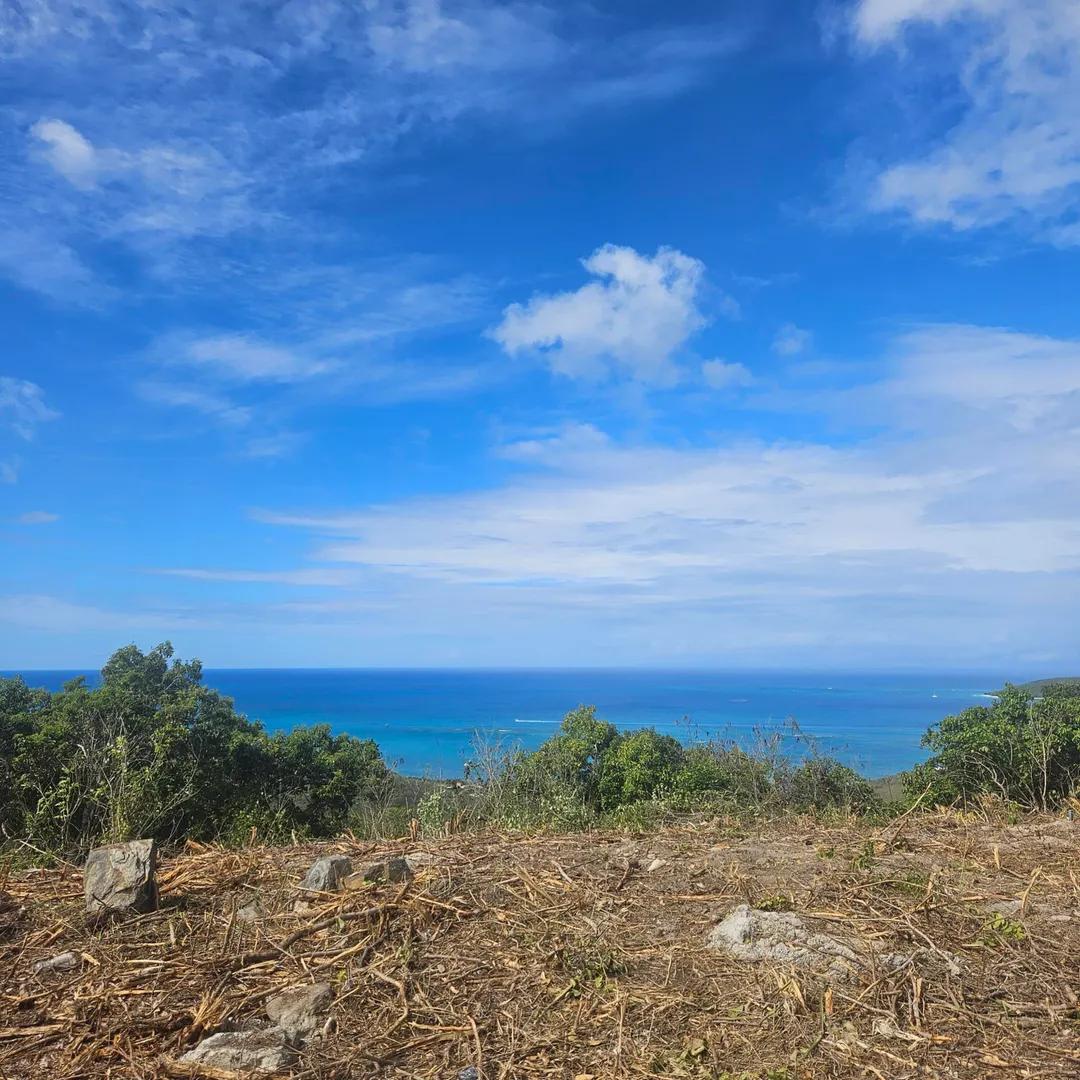 0.99 Acre Homesite in Cotton Valley Eb — photo 5