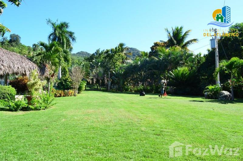5 Bedroom Villa in San Felipe De Puerto Plata — photo 4