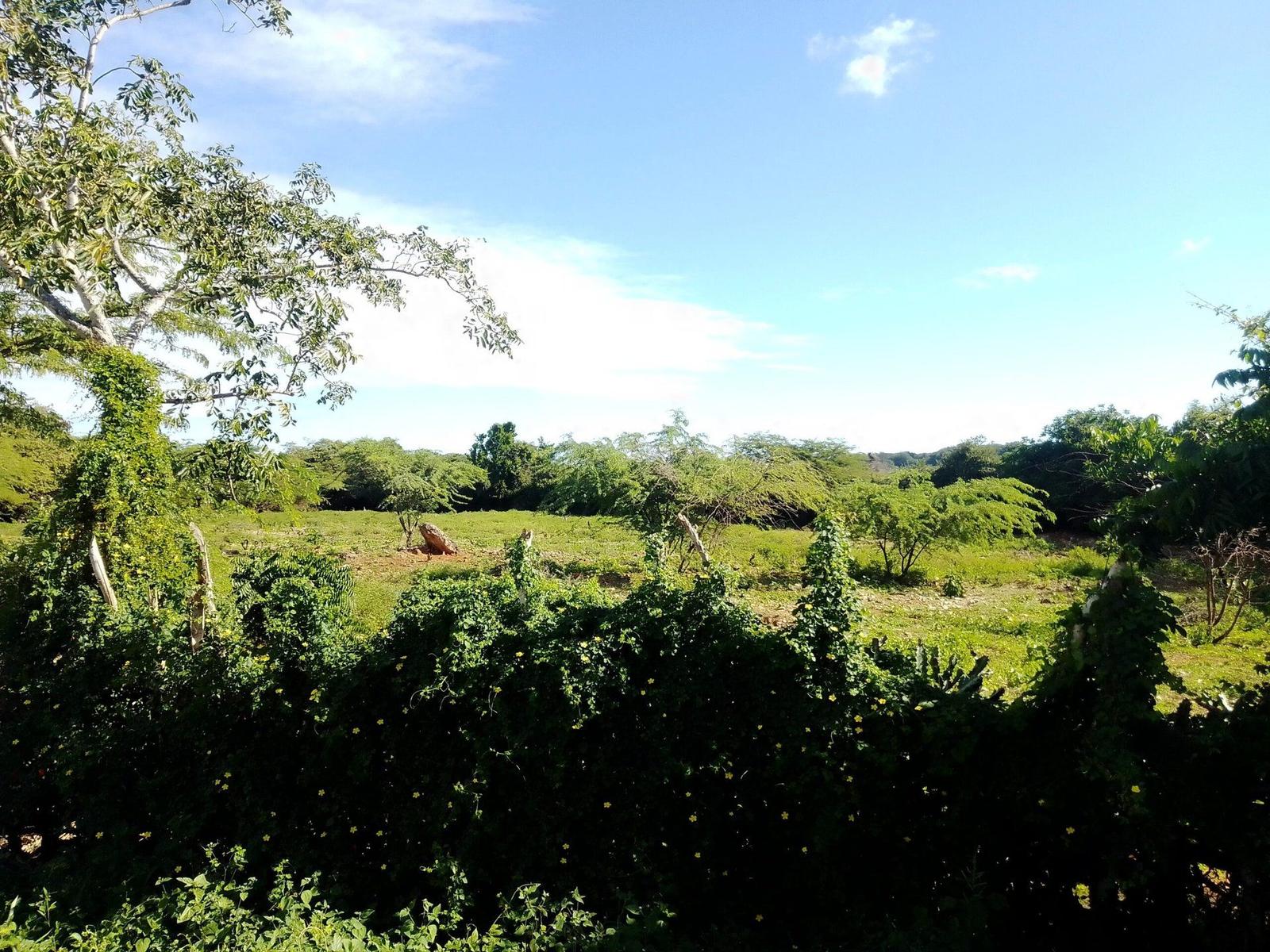 Prime Development Land for sale in Luperón Near Beach — photo 2