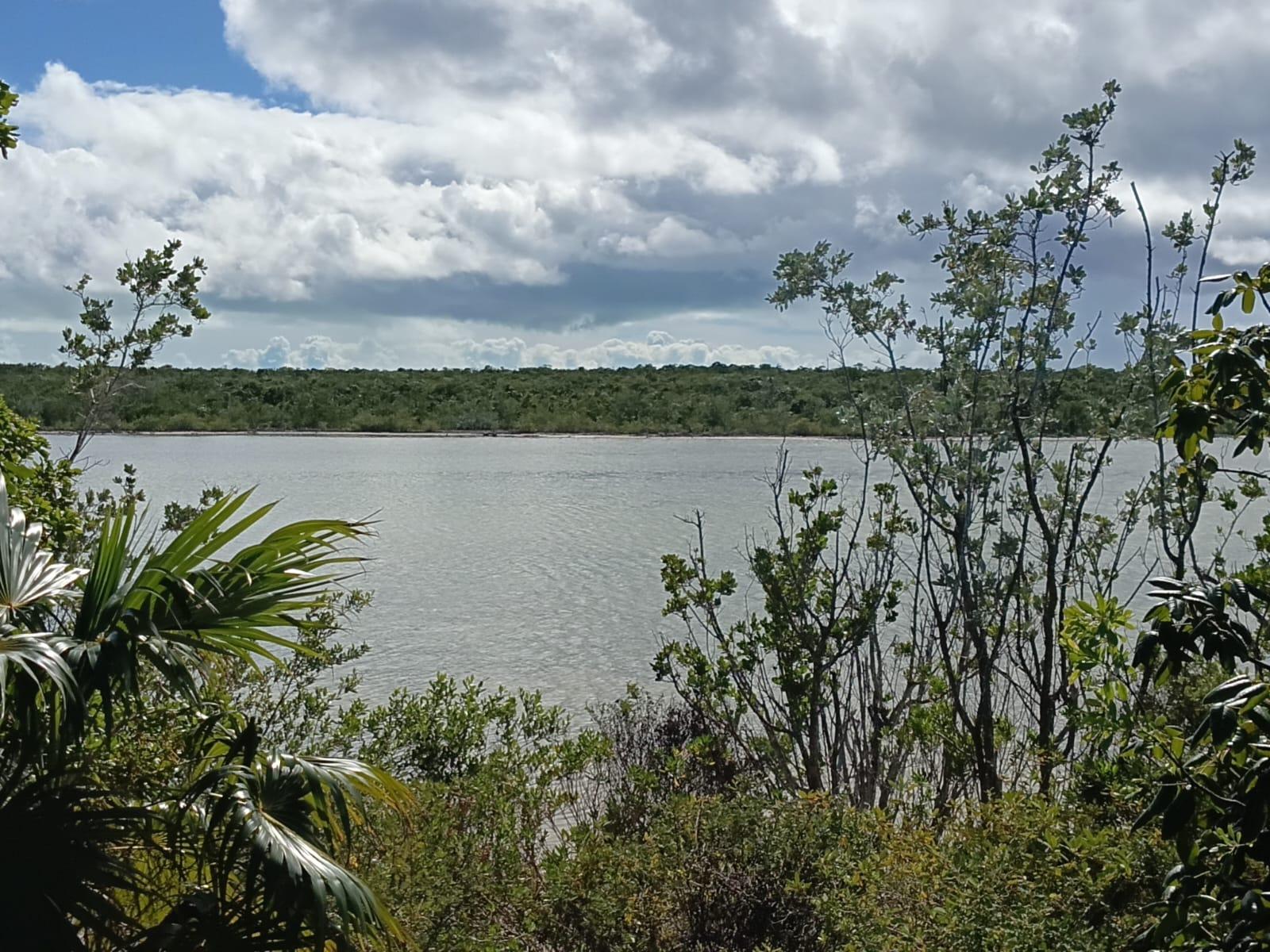 Vacant Land for Sale - Lot 88, Seahorse Shores Water Front Parcel — photo 4