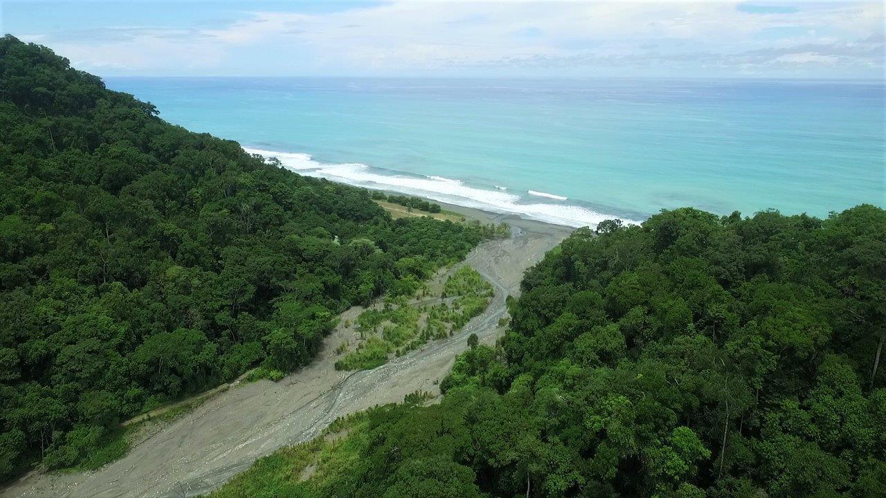113 Hectares Beachfront Land for Sale in Osa Peninsula — photo 3