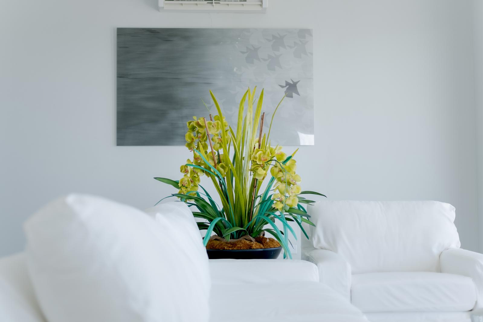 1-bedroom condo in Rendezvous Hill, St Kitts — photo 2