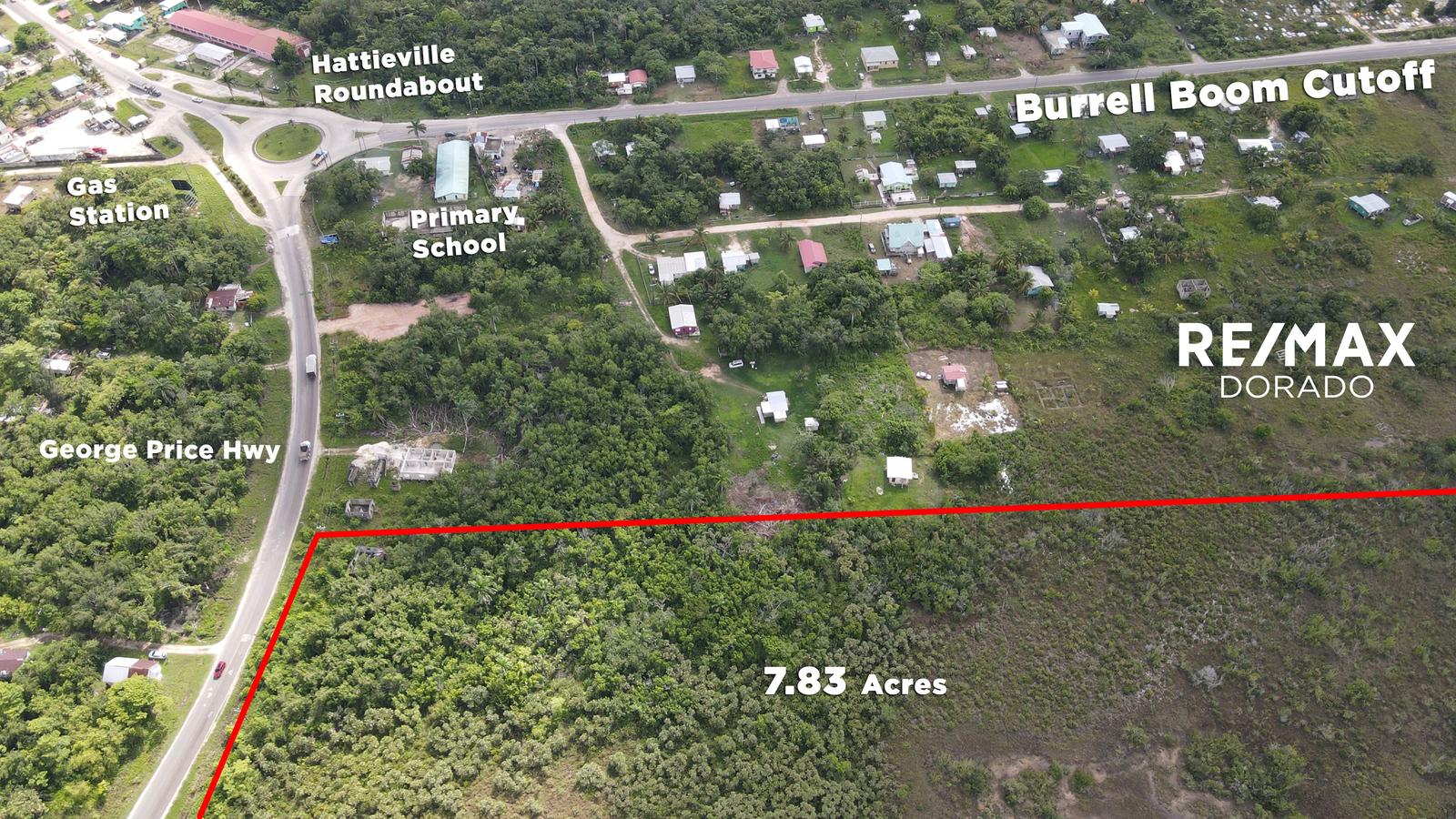 7.83 Acre Property on George Price Highway! — photo 1
