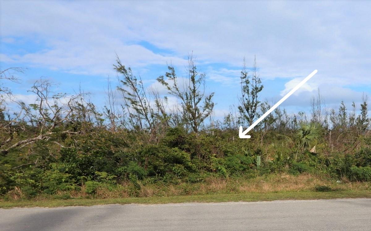 Vacant Land for sale - Lot 18, Blackwood, Bahamas — photo 1