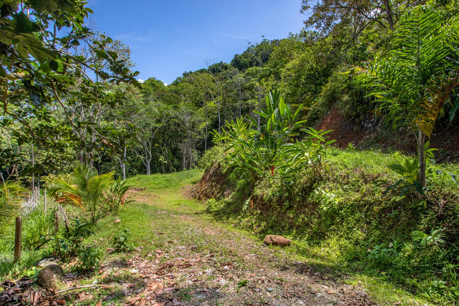 210 Acre Mountain Top Ranch for Sale, Matapalo, Puntarenas, Costa Rica — photo 4