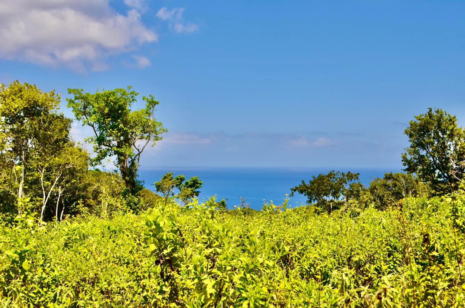 39.9 Acre Undeveloped Lot in St. Croix — photo 2