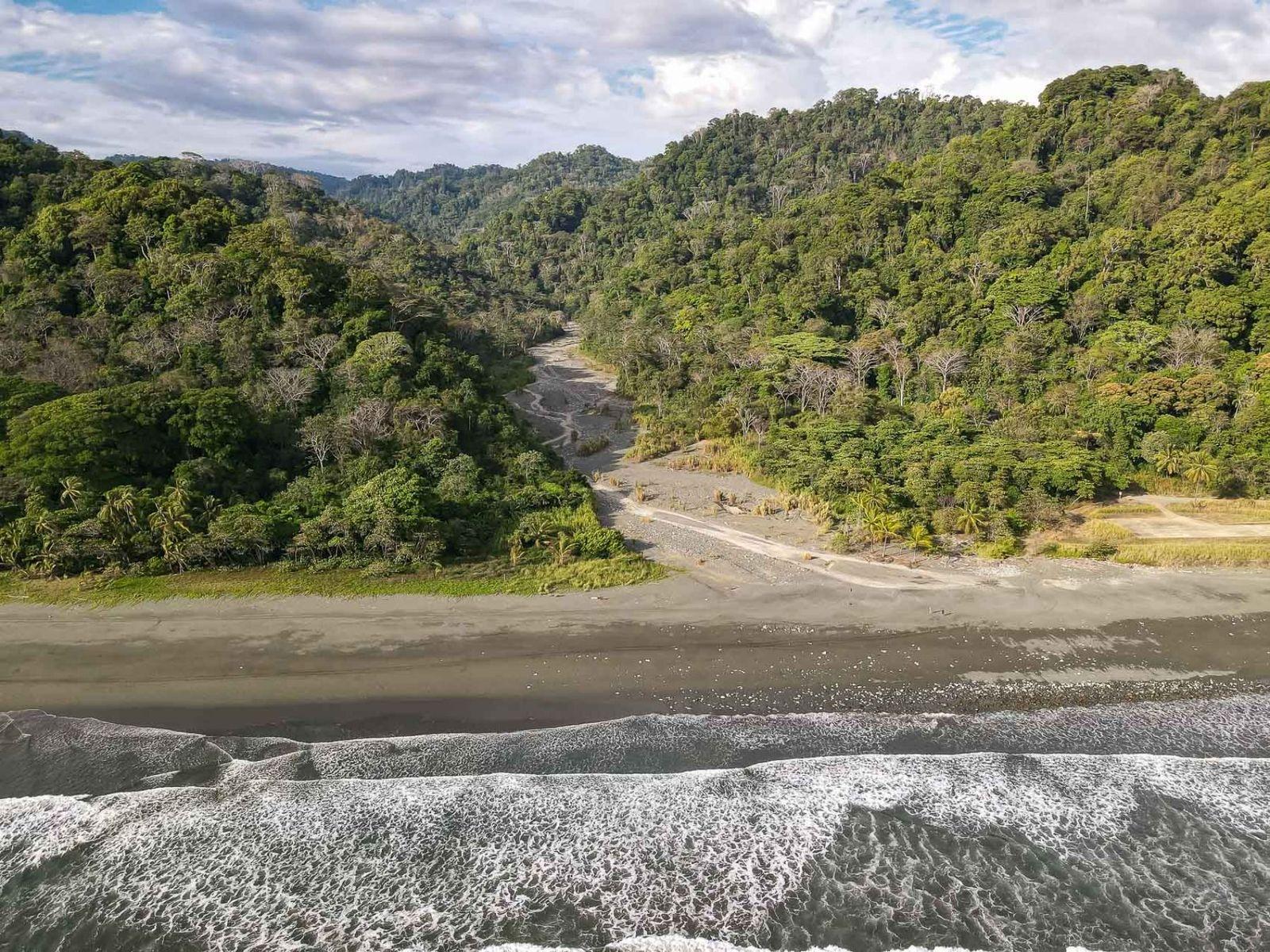 113 Hectares Beachfront Land for Sale in Osa Peninsula — photo 2