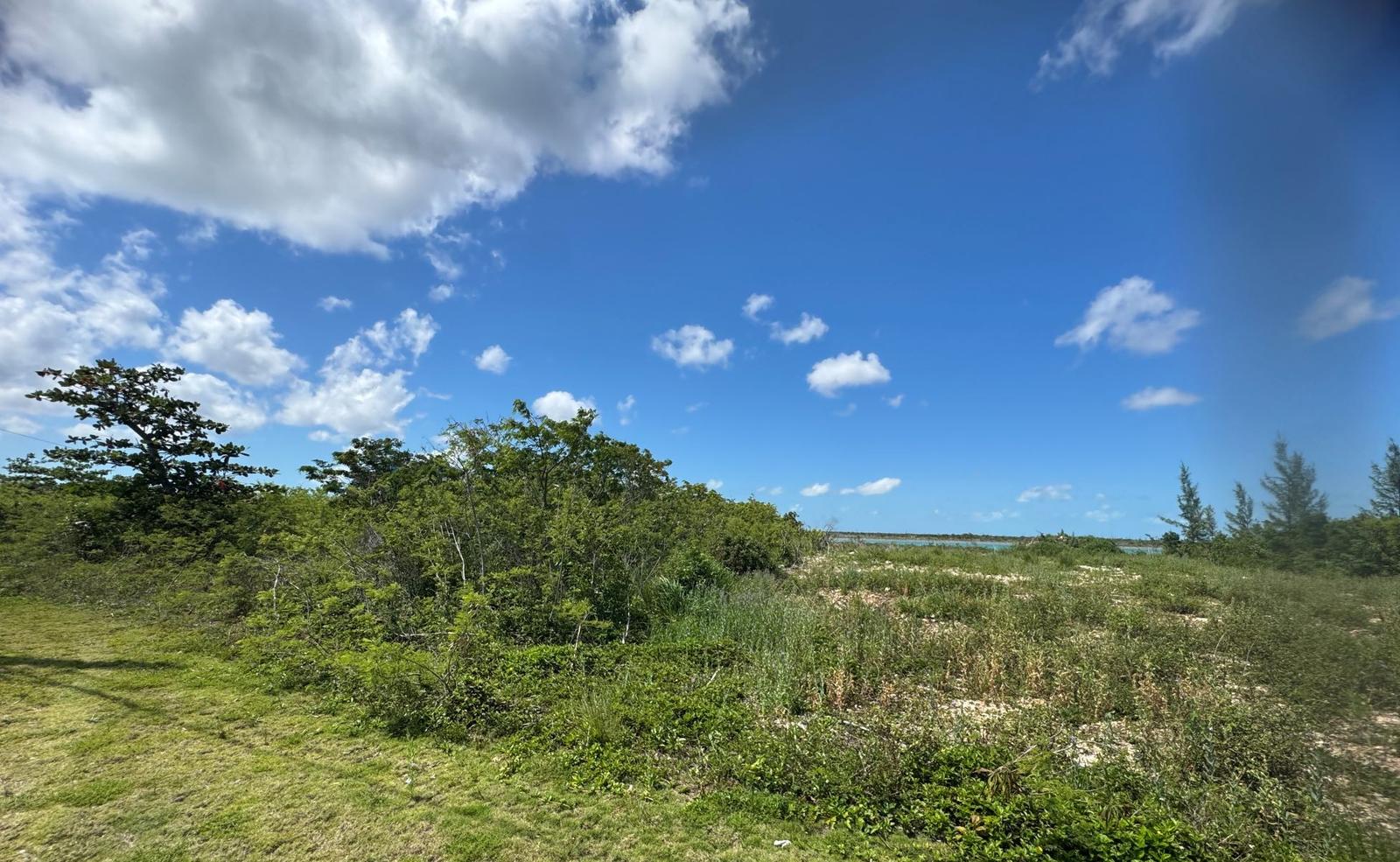 Vacant Land for sale - Mcleans Town Lot On The Creek — photo 5