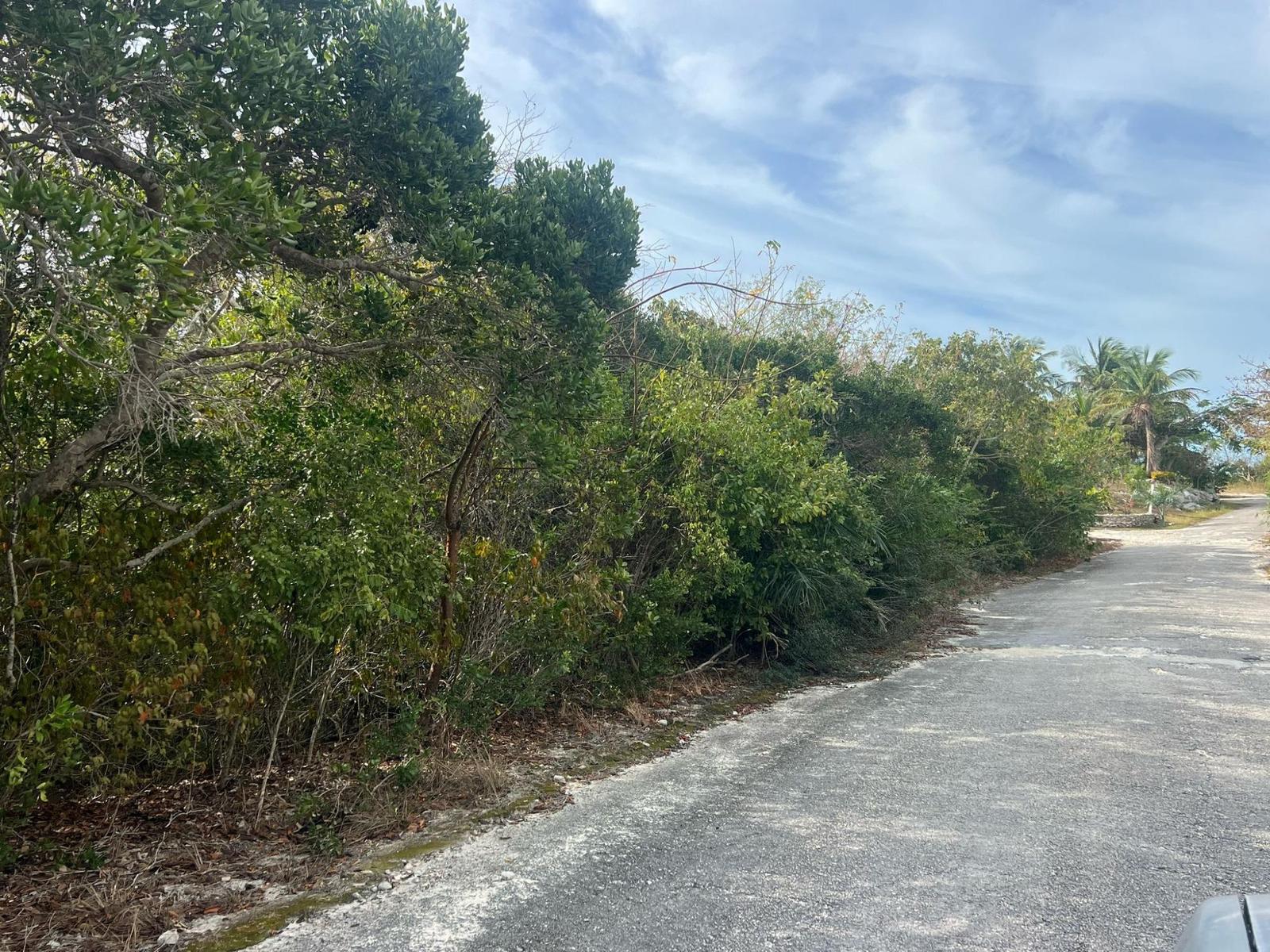 CLIPPER ROAD — photo 4