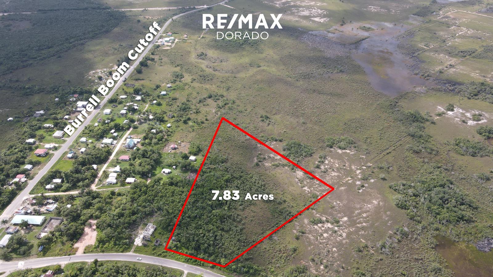 7.83 Acre Property on George Price Highway! — photo 5