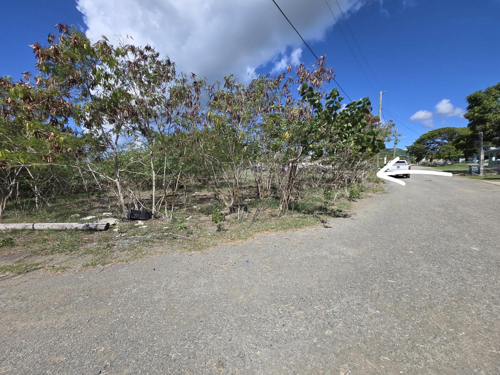 New Listing  LotsAcres  Williams De PR — photo 5