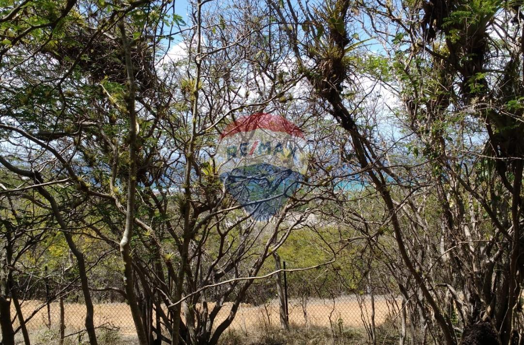 LOT #1 DONALDSON UNION ISLAND — photo 2