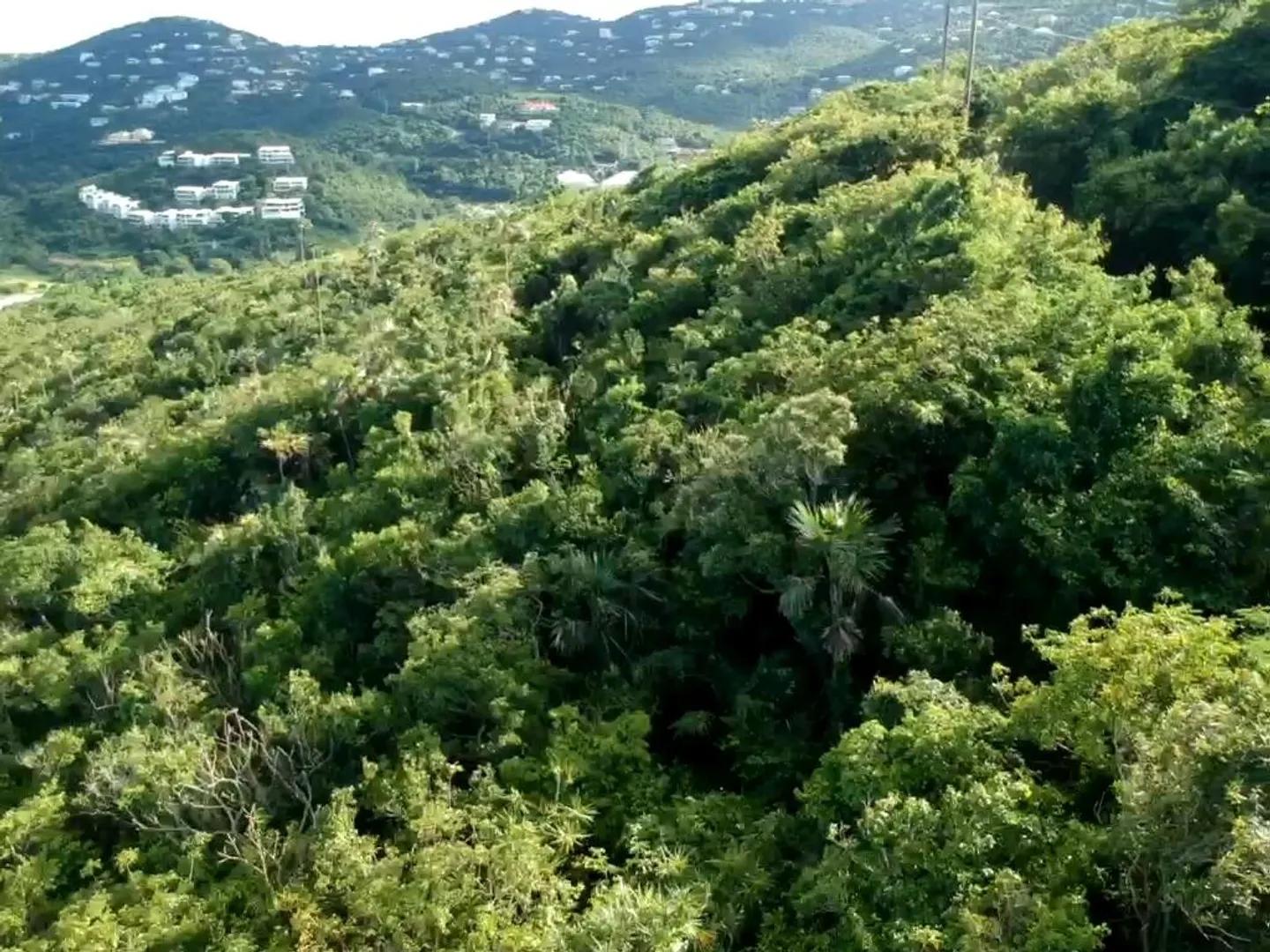 30 Acre Waterfront Lot in US Virgin Islands — photo 4