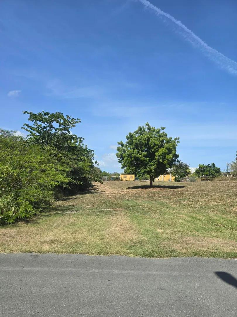 0.5 Acre Homesite Lot in Frederiksted — photo 2