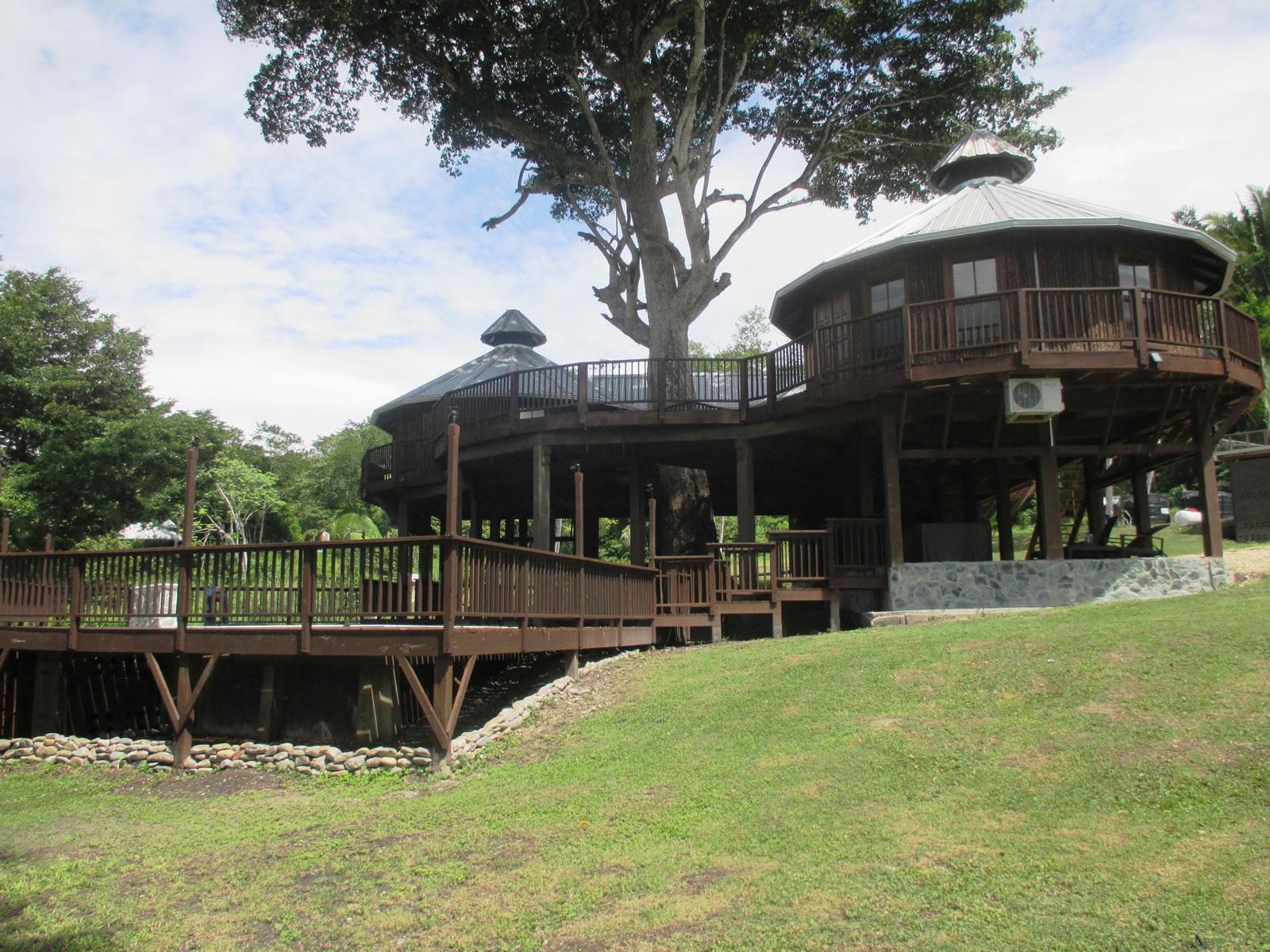 2 Bedroom Off-Grid Home on 4 Acres in Bullet Tree Falls — photo 1