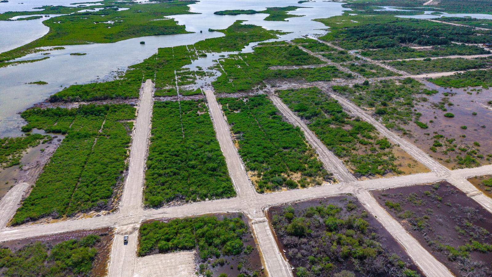 Secret Beach Property For Sale — photo 4