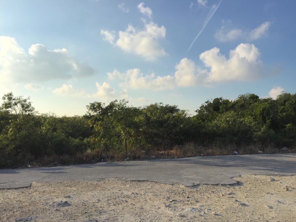 CARTWRIGHTS LOT — photo 1