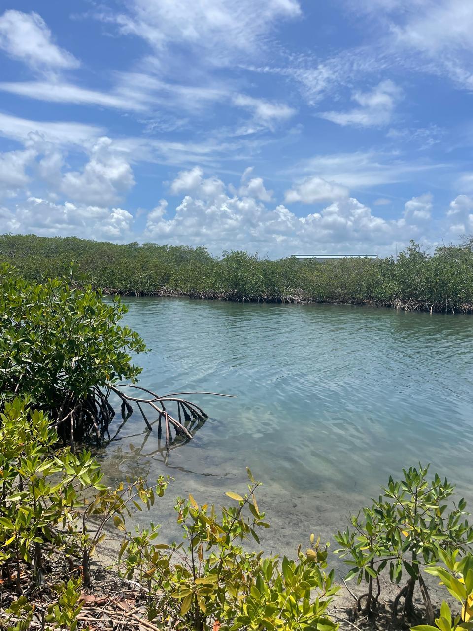 Mariners Delight - Waterfront lots — photo 4