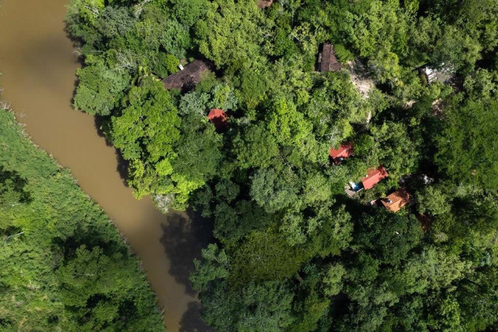 16 Bedroom Award-Winning Jungle Lodge for Sale, Cristo Rey, Cayo, Belize — photo 5