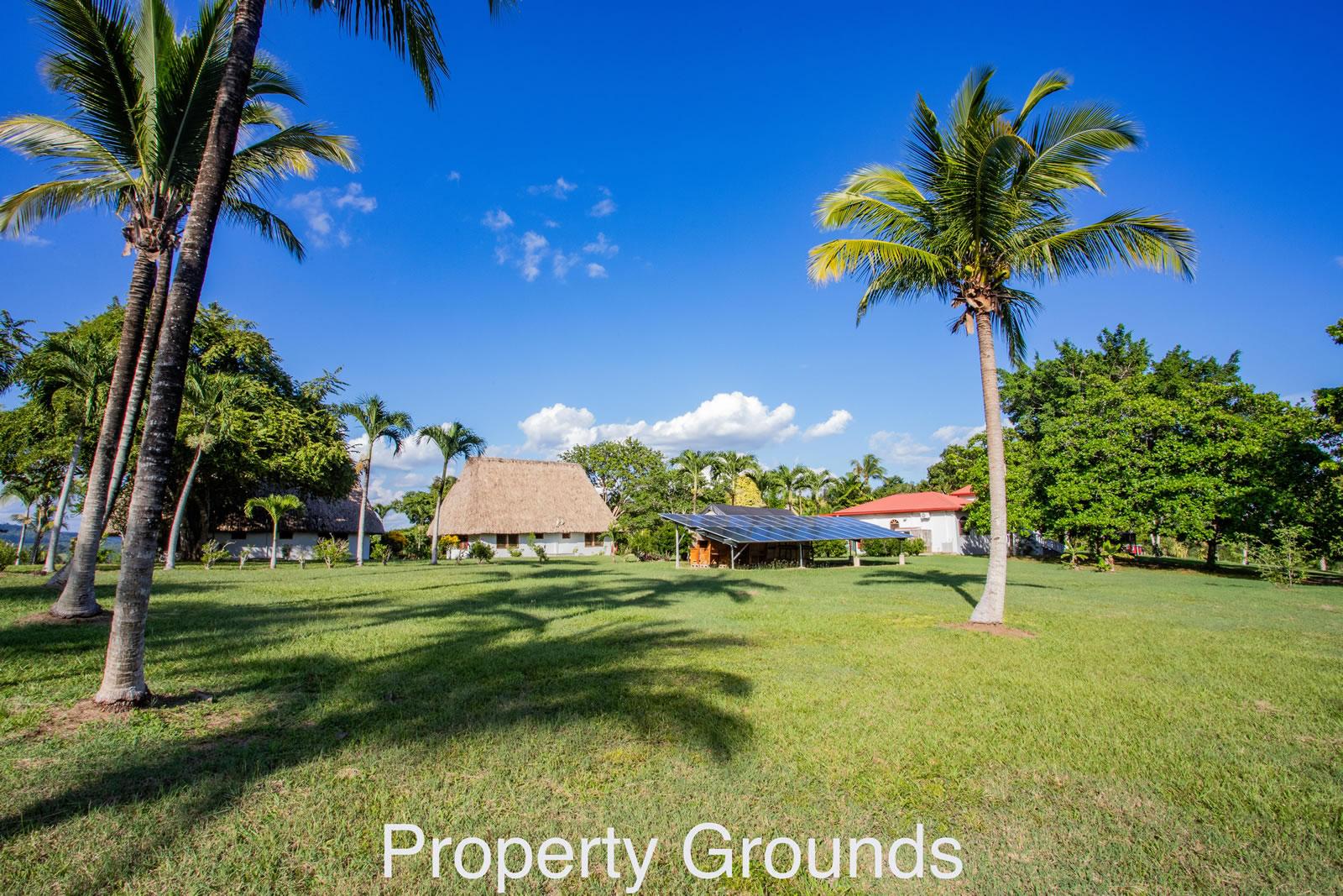 23 Acre Estate for Sale, San Ignacio, Cayo, Belize — photo 2