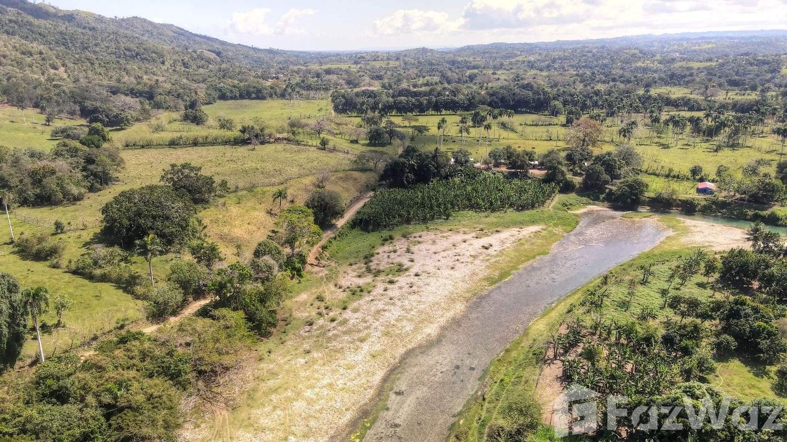 Land for sale in La Mulata, Sosua (120,500 m²) — photo 5