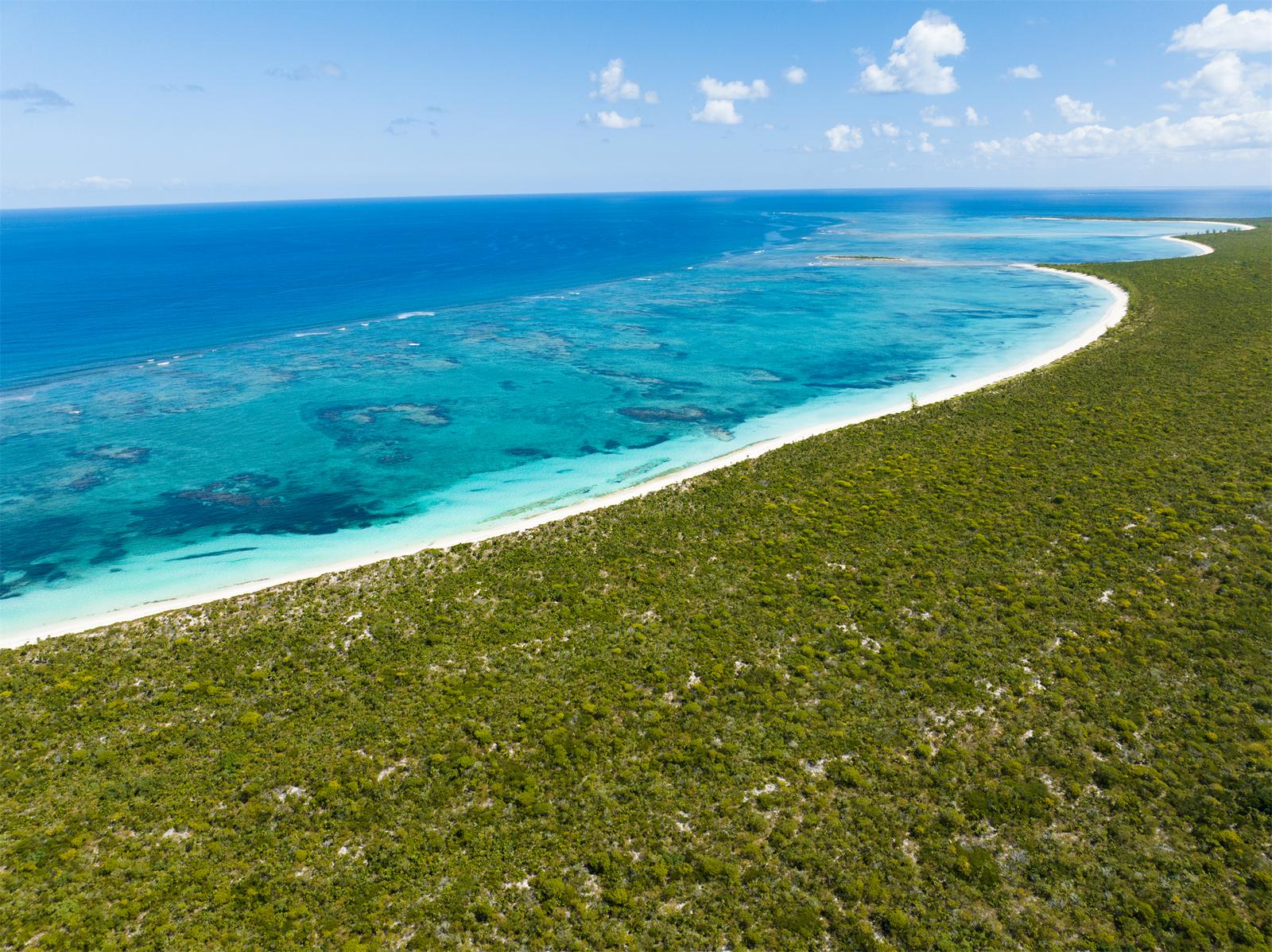 EAST CAICOS — photo 3