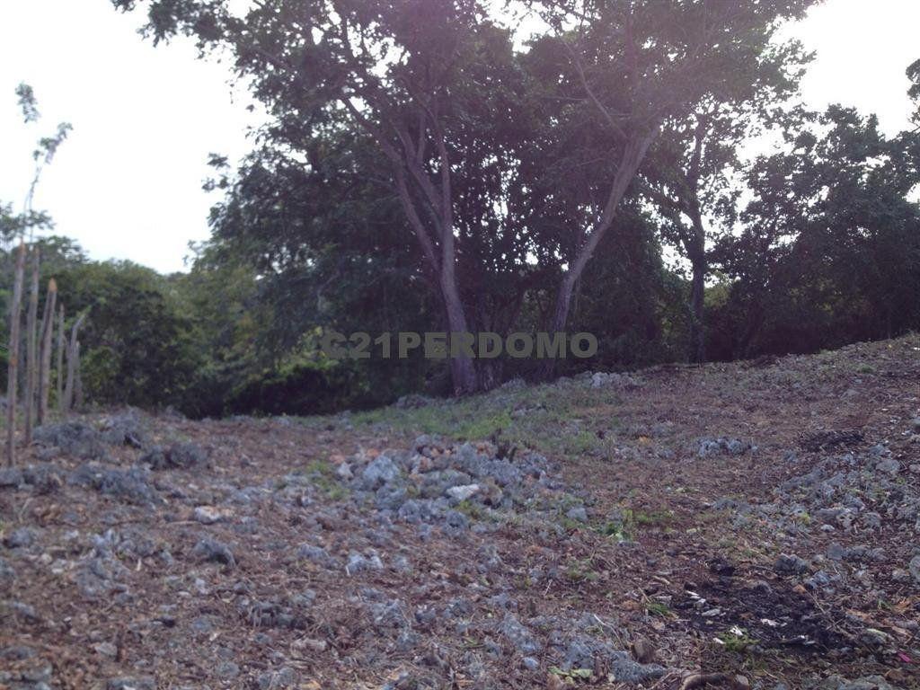 Large Residential Lot for sale in La Mulata, Sosúa — photo 3