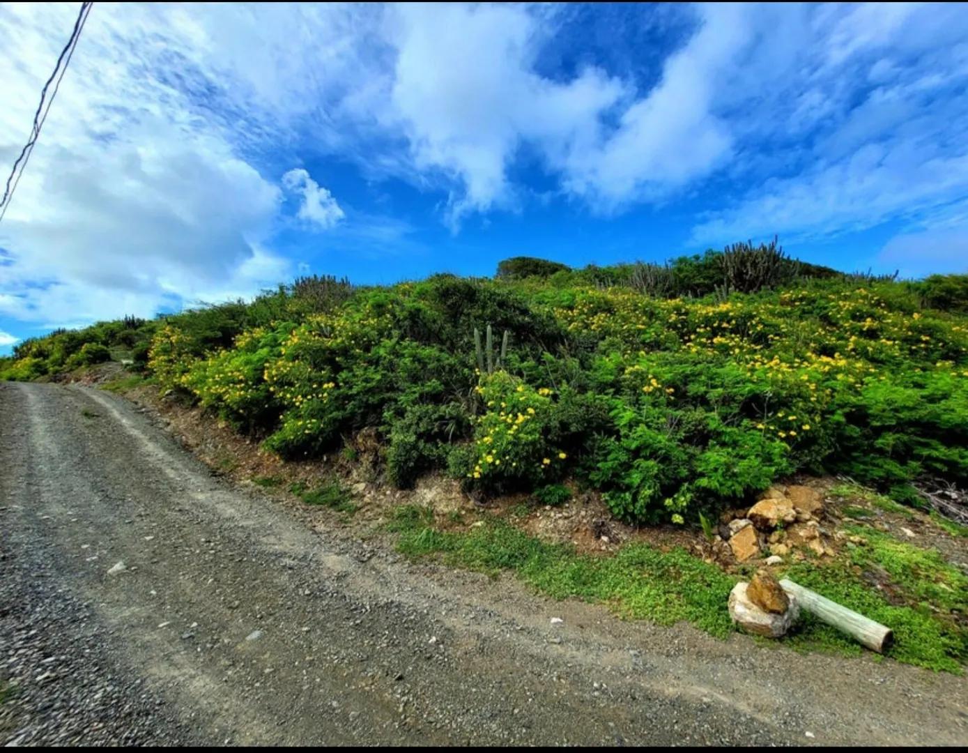 0.87 Acre Lot in Turner's Hole Eb, US Virgin Islands — photo 5