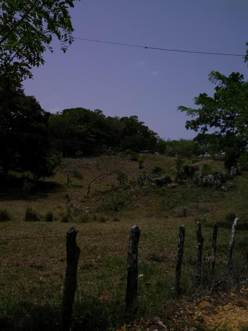 Former Citrics Farm — photo 3