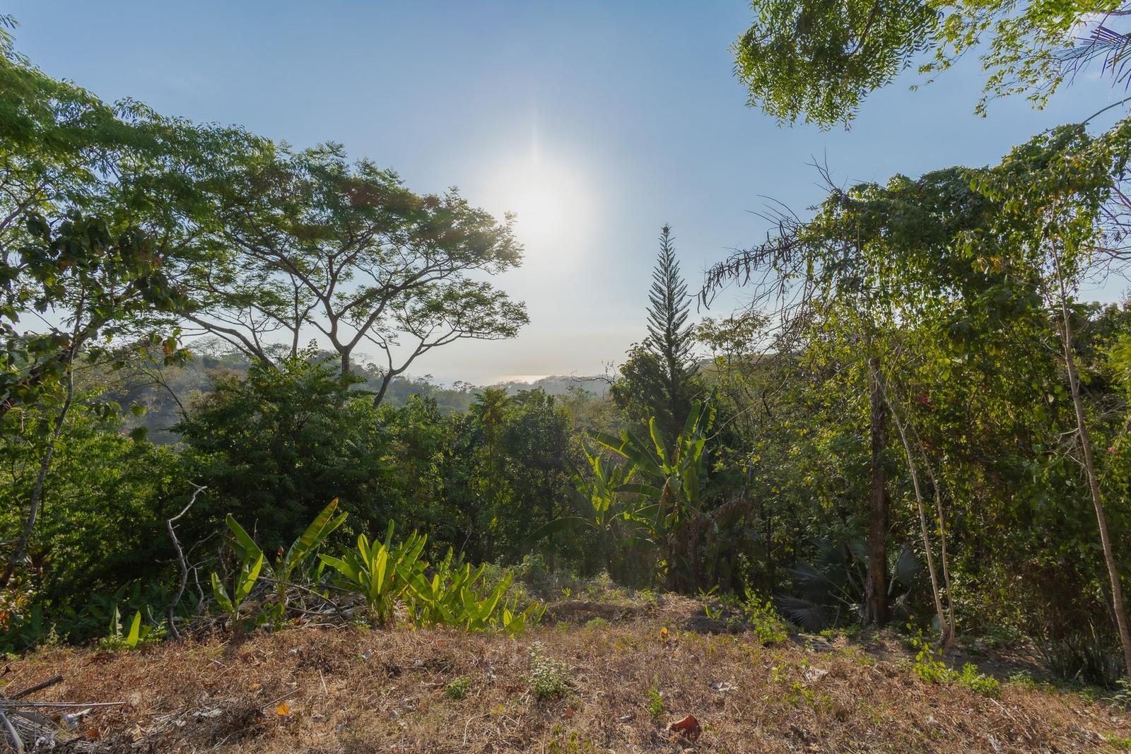 4.45 Acres of Land for Sale, Santiago, Santa Teresa, Puntarenas, Costa Rica — photo 5